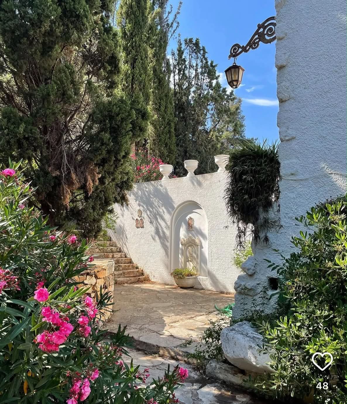 A sunlit garden path beside whitewashed walls, pink flowers and cypress trees