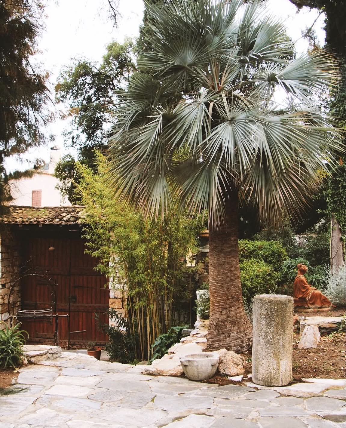 A palm tree and stone paving beside a rustic wooden door in the museum courtyard